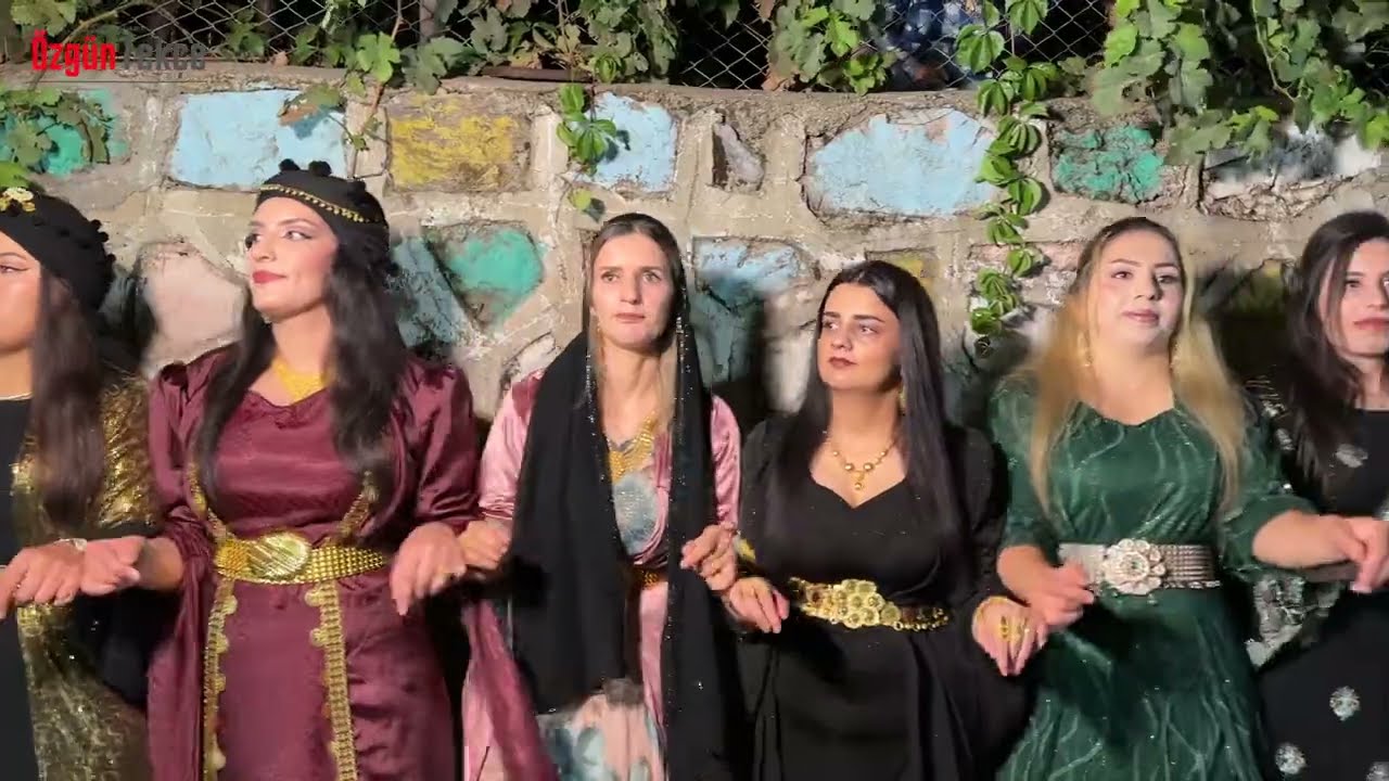Özgün Tekçe - Uludere Yemişli Köyü Görkemli Kına Gecesi [ 2024 © ]
