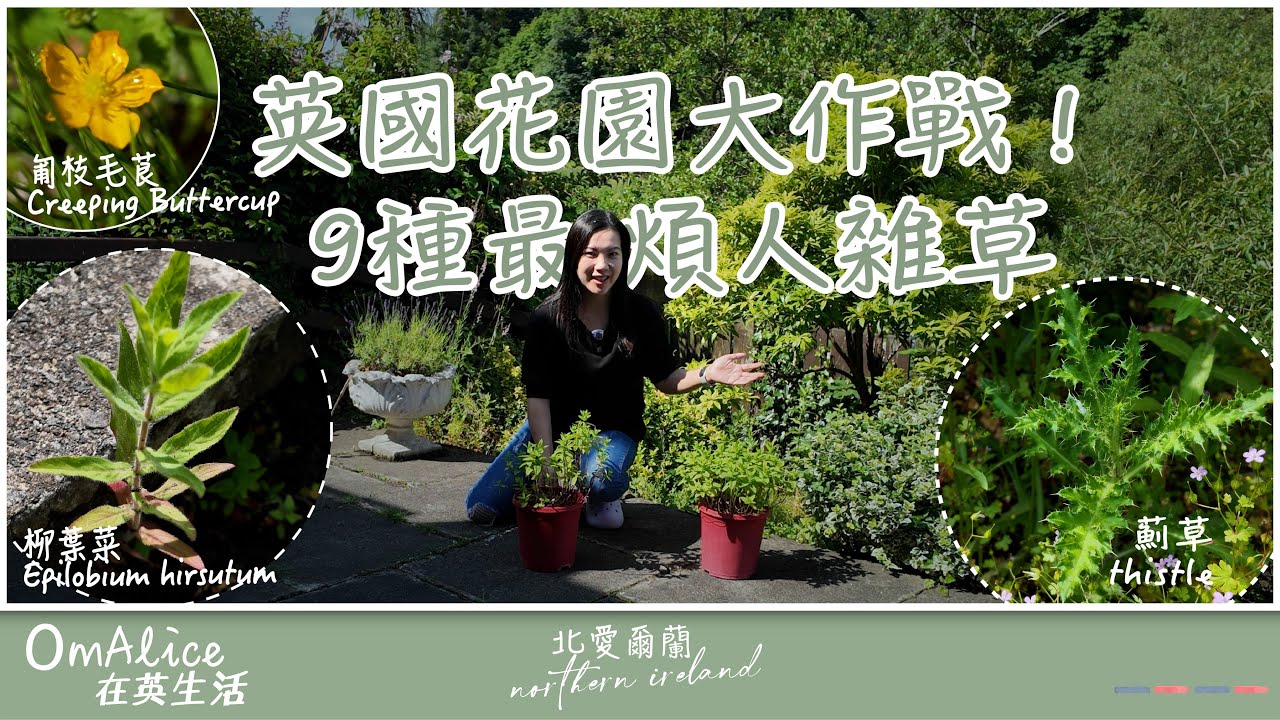 103 英國花園大作戰！9種最煩人雜草＋實用工具＆天然肥料介紹