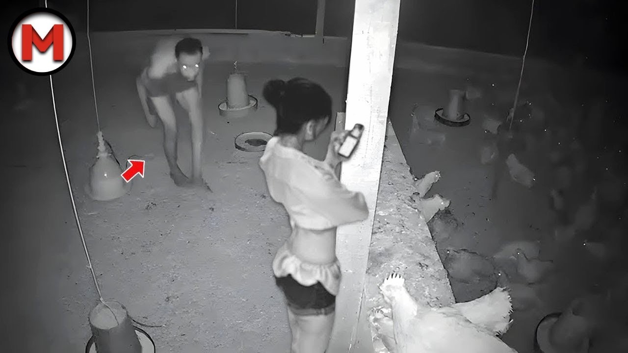 Я Бы И Сам Не Поверил, Но Это Видео Удалось Снять На Камеру