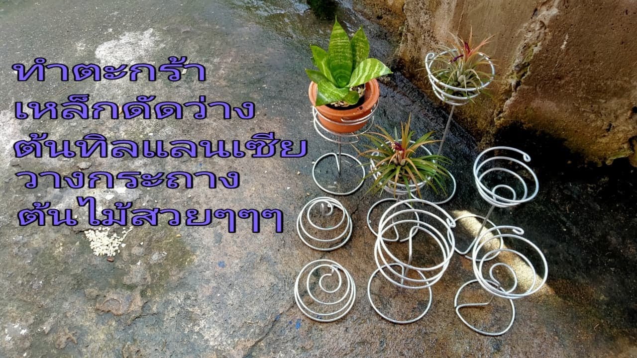 DIY ทำตะกร้าเหล็กดัดวางต้นทิลแลนเซียและกระถางต้นไม้แบบตั้งโต๊ะสวยๆๆๆ