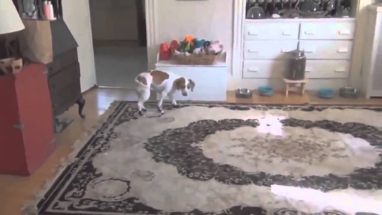 funny videos fail compilation 2013 HD