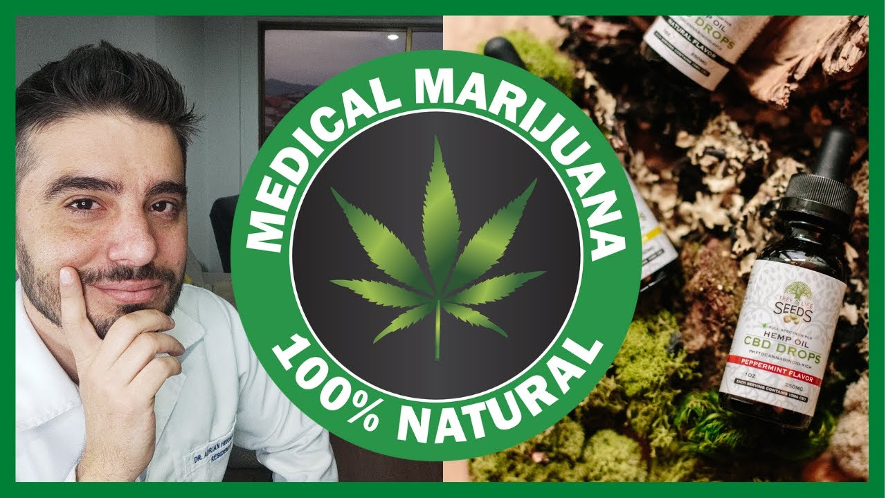 USOS y Abusos de la MARIHUANA MEDICINAL (CBD, cannabidiol, THC) - El Paciente Primero