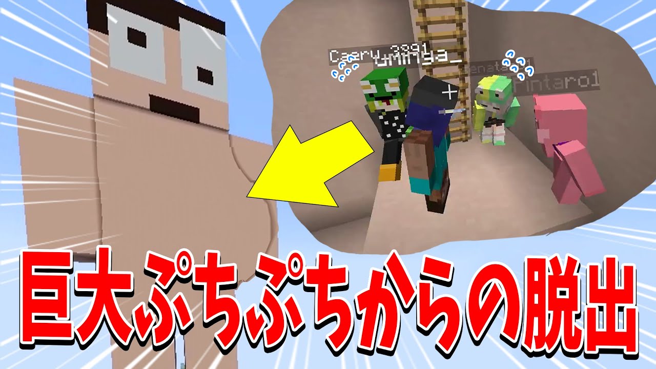 有名YouTuberの赤ちゃんとなって無事に産まれろ！巨大ぷちぷちからの脱出 - マインクラフト