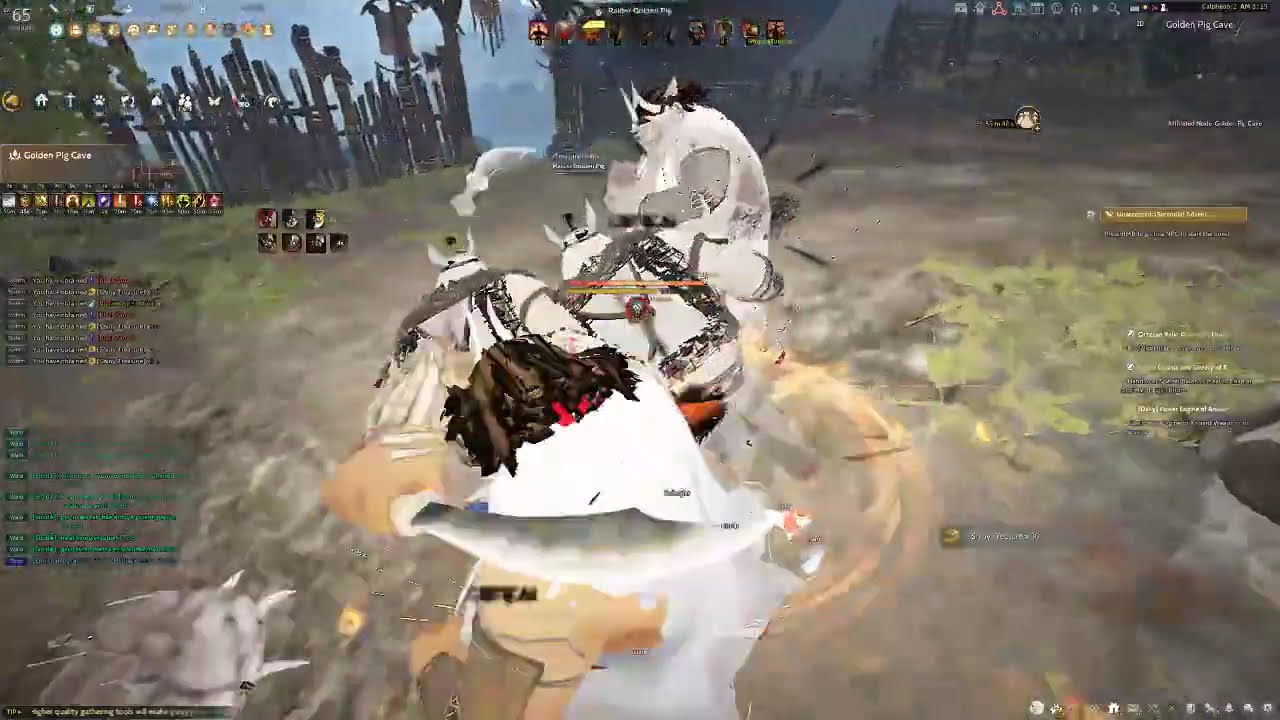 BDO | 2025 05 01  (After 30.04.2025 buff patch) Succession Berserker Fortunate Pig cave run FAST ?