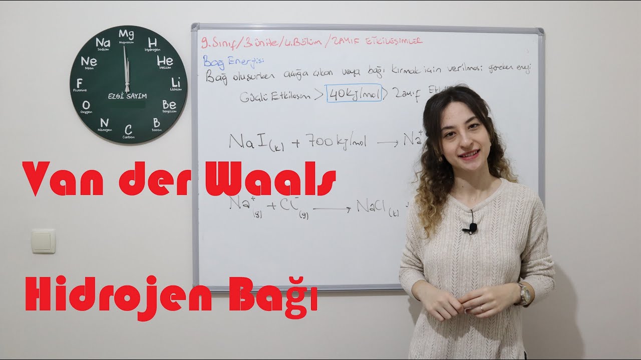 13- ZAYIF ETKİLEŞİMLER 2022