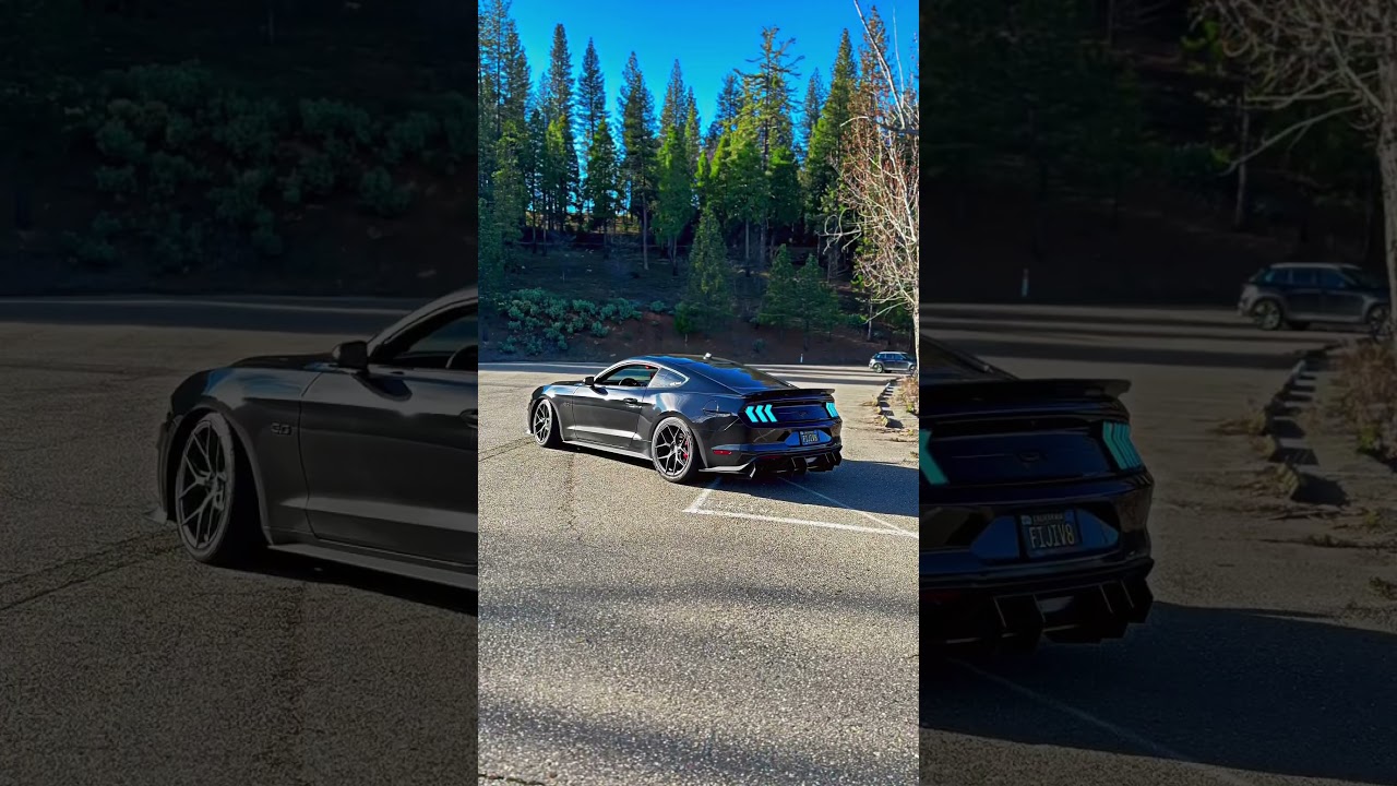 Mustang GT S550 🖤 with s650 lights 👀 @s550euros  @stanglights