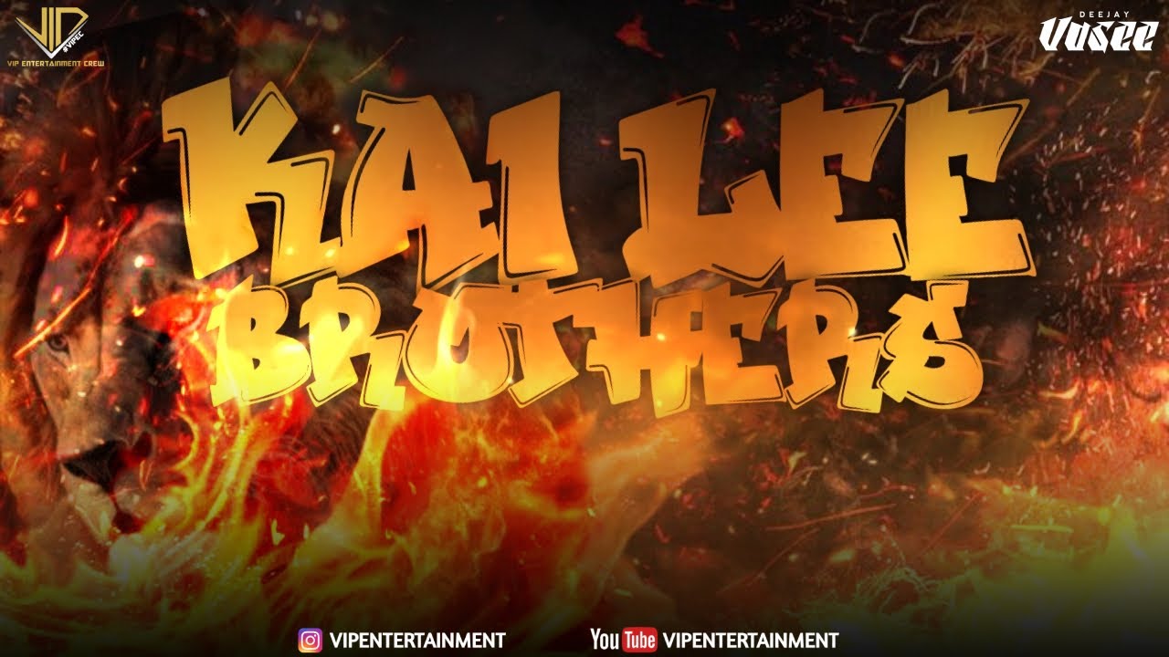 Djay Vasee | Kai Lee Brothers | Official Audio Remix | ViPEC 2024