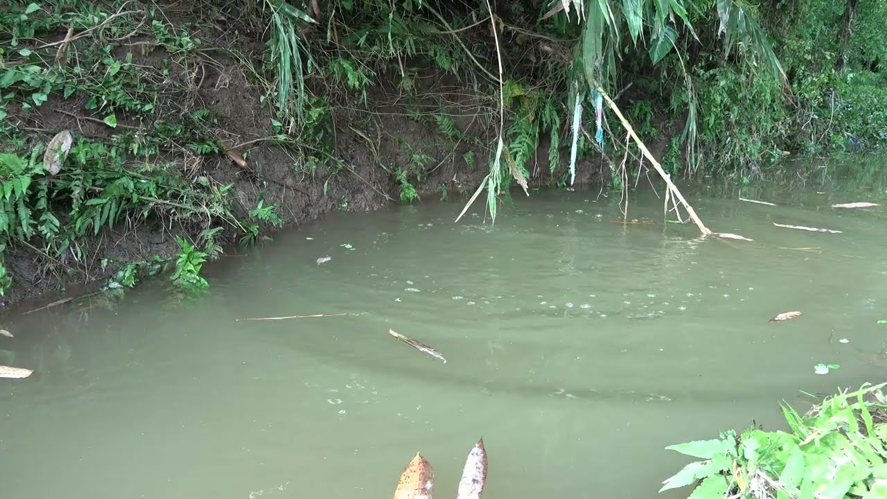Fishing Girls - Using pumps, pumping water outside the natural lake, Harvest a lot of big fish