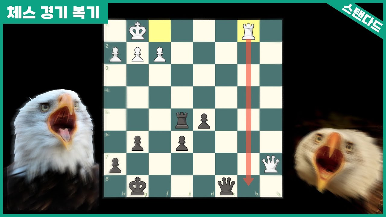 비상!! 망한 포지션 살려라