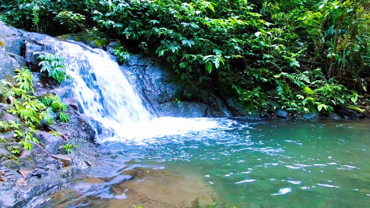 Mountain River Sounds for Inner Calm