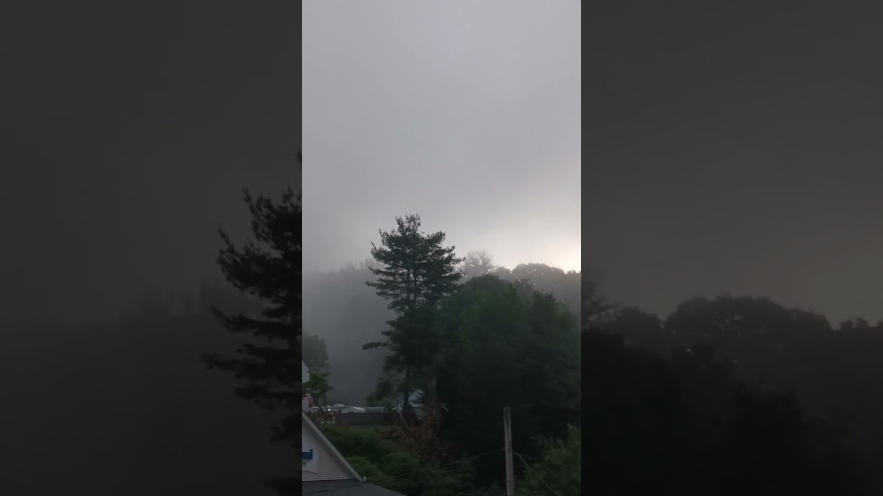 5 am. birds singing and a beautiful fogged morning in Connecticut 6/7/24