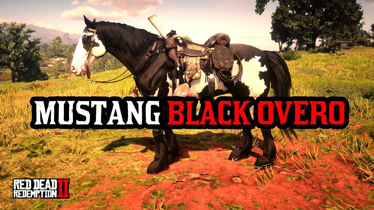 Red Dead Redemption 2 - Mustang Black Overo