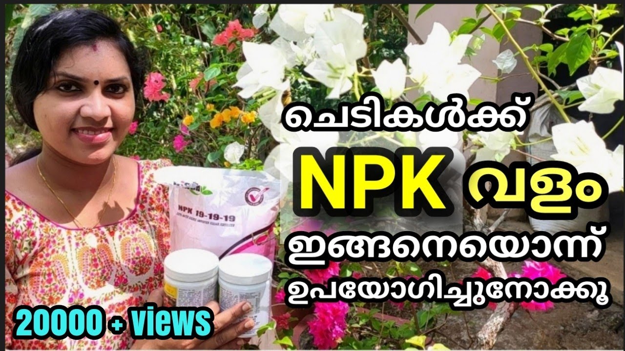NPK വളങ്ങൾ ചെടികൾക്ക് ഇങ്ങനെ ഉപയോഗിക്കൂ|How to use NPK fertilizer in Malayalam|