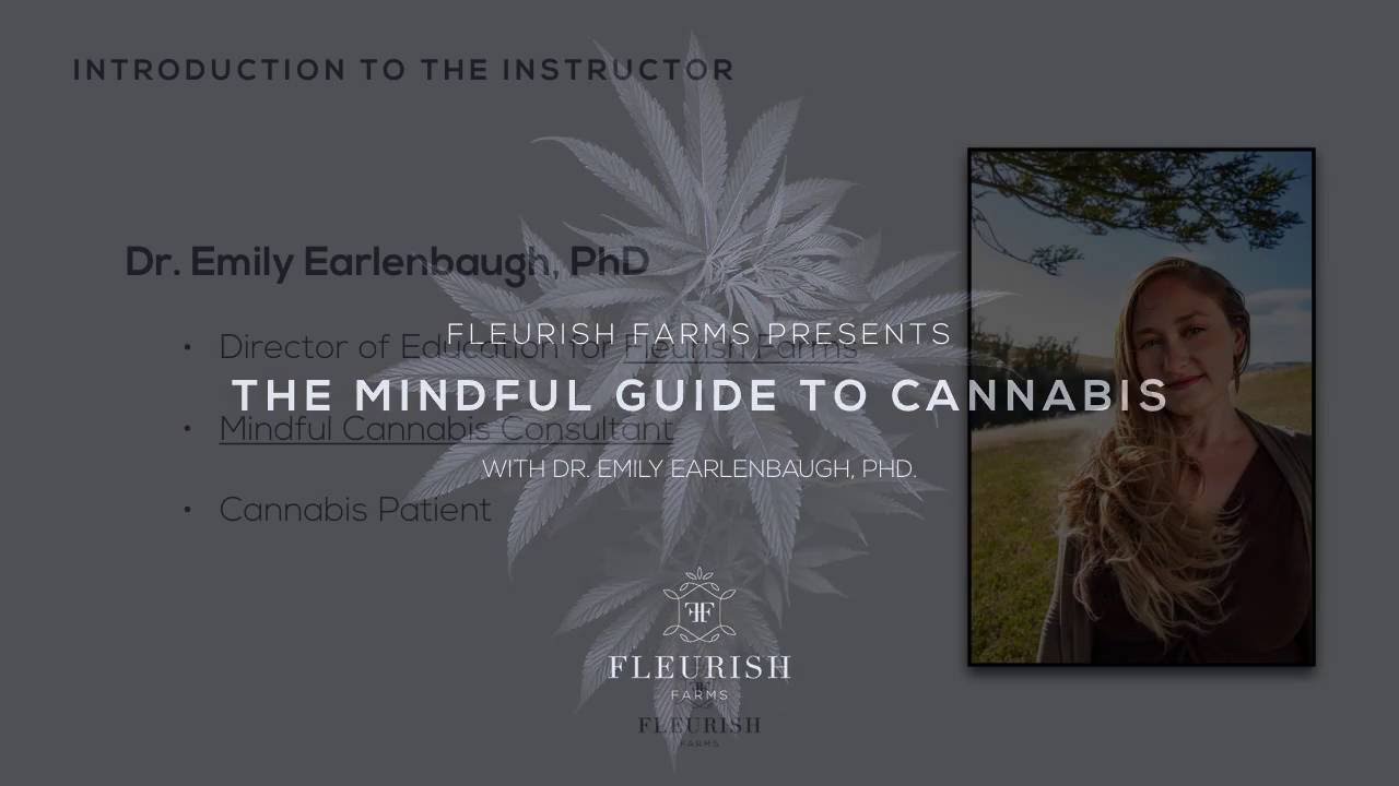 The Mindful Guide to Cannabis