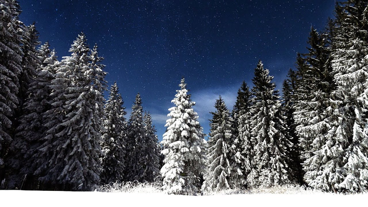 Dennis Kuo - Starry Winter (feat. @StudyMusicProject )