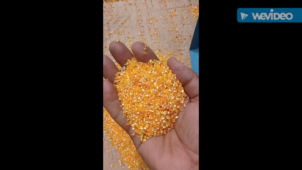 SUPER BERSIH MESIN PEMECAH JAGUNG 1 TON/JAM. 085261373681 TUJUAN PALOPO #jagung #sulawesi