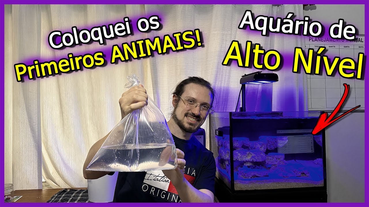 Coloquei a Equipe de Limpeza no Aquário Marinho de Alto Nível!