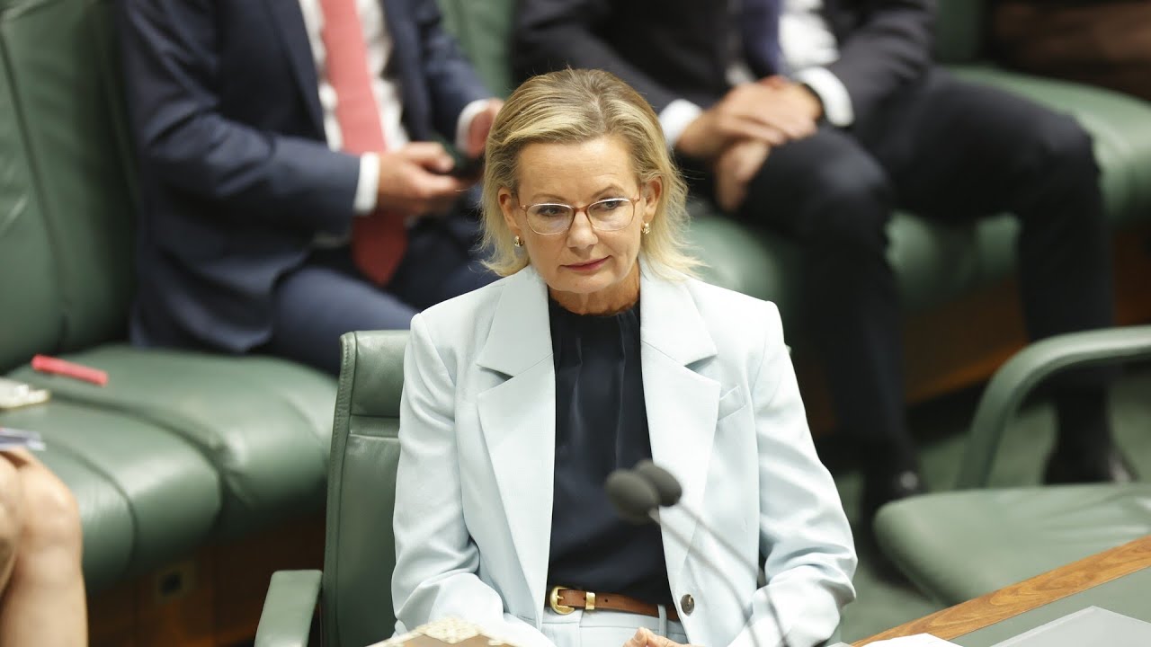 Coalition ‘joined at the hip’ with Labor on energy policy