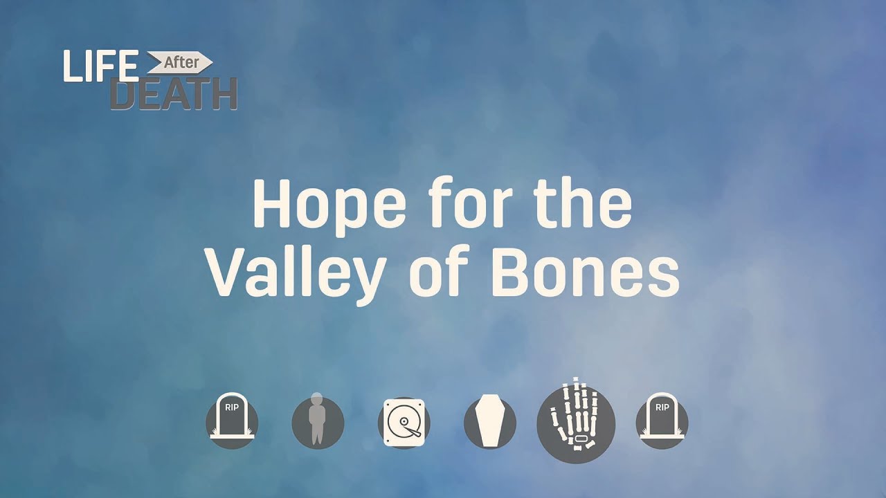 The Bible Promises Life After Death