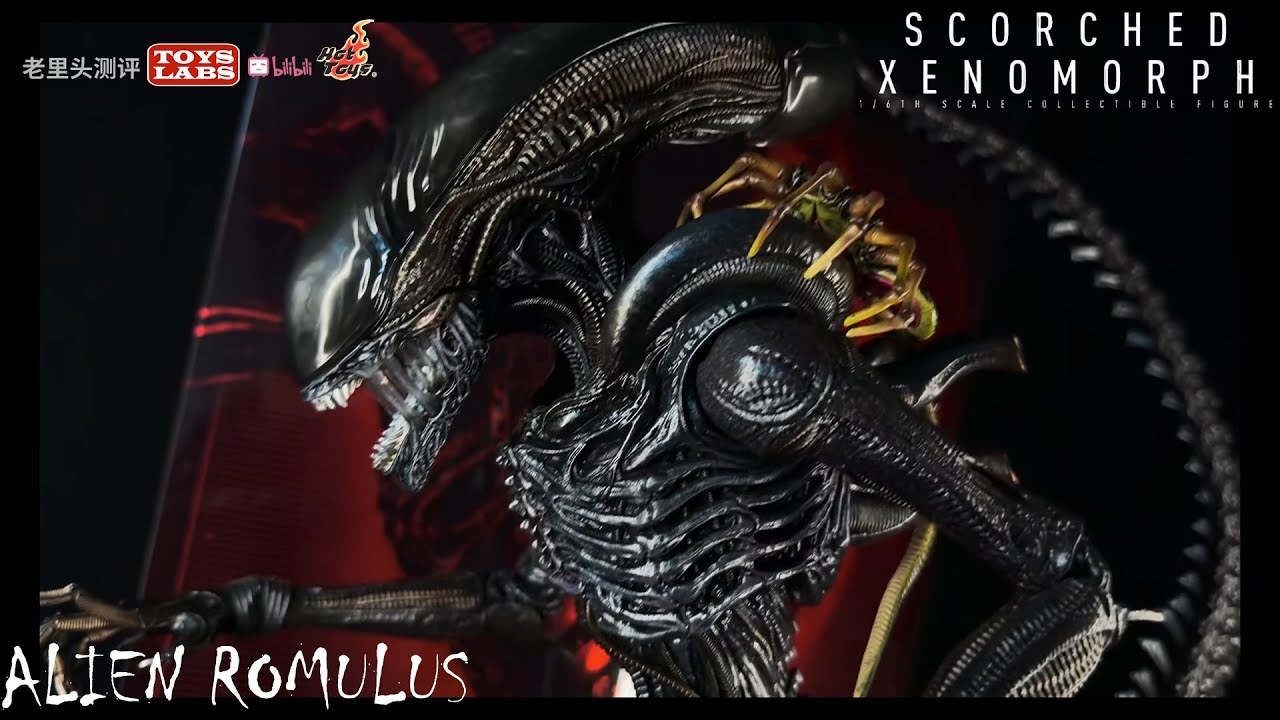 It didn't disappoint! 1/6 异形：夺命舰 异形 Hot Toys Alien: Romulus 1/6th Scale Scorched Xenomorph