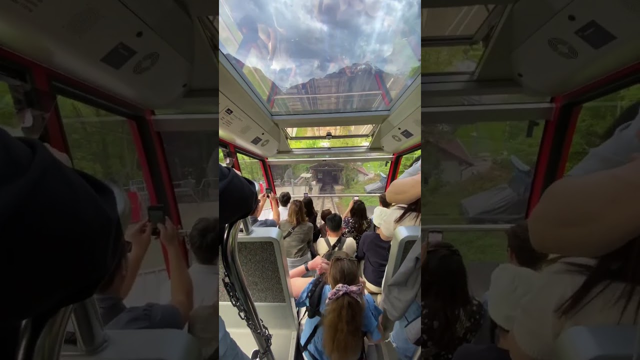 Harder kulm, interlaken Switzerland 🇨🇭 MAY 12, 2024 #switzerland #nature #travel #mountains