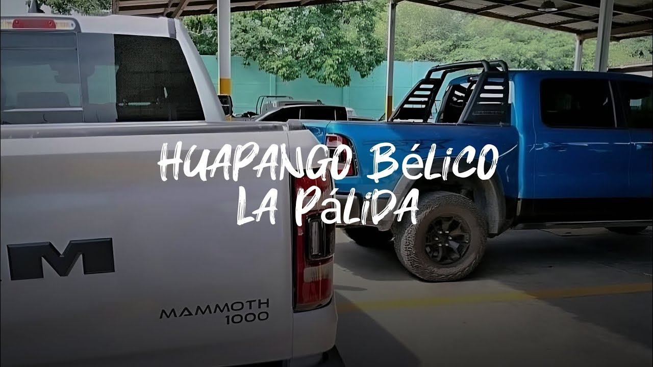 Huapango B&eacute;lico La P&aacute;lida - Pacto Aliado & Enlace | Regional Mexicano