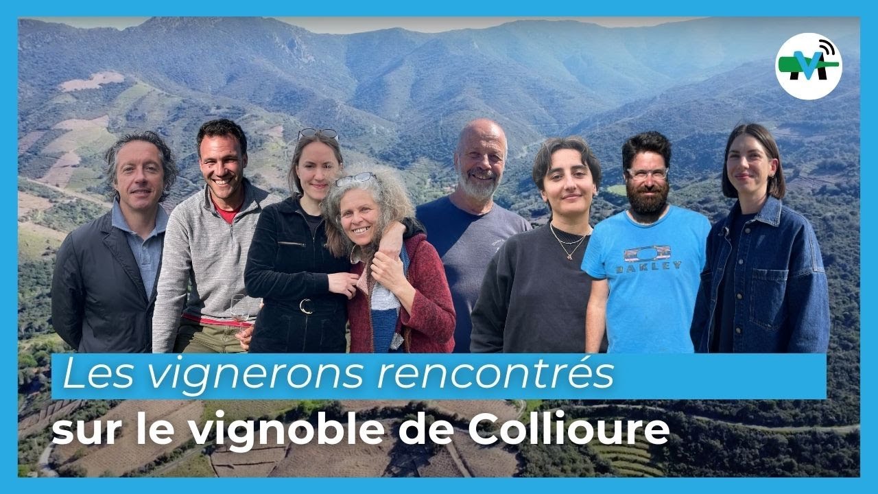 Collioure : les vignerons que nous avons rencontrés en mai sur Médiavino