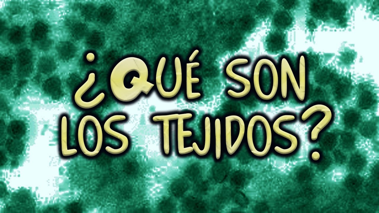 ¿Qué son los tejidos?