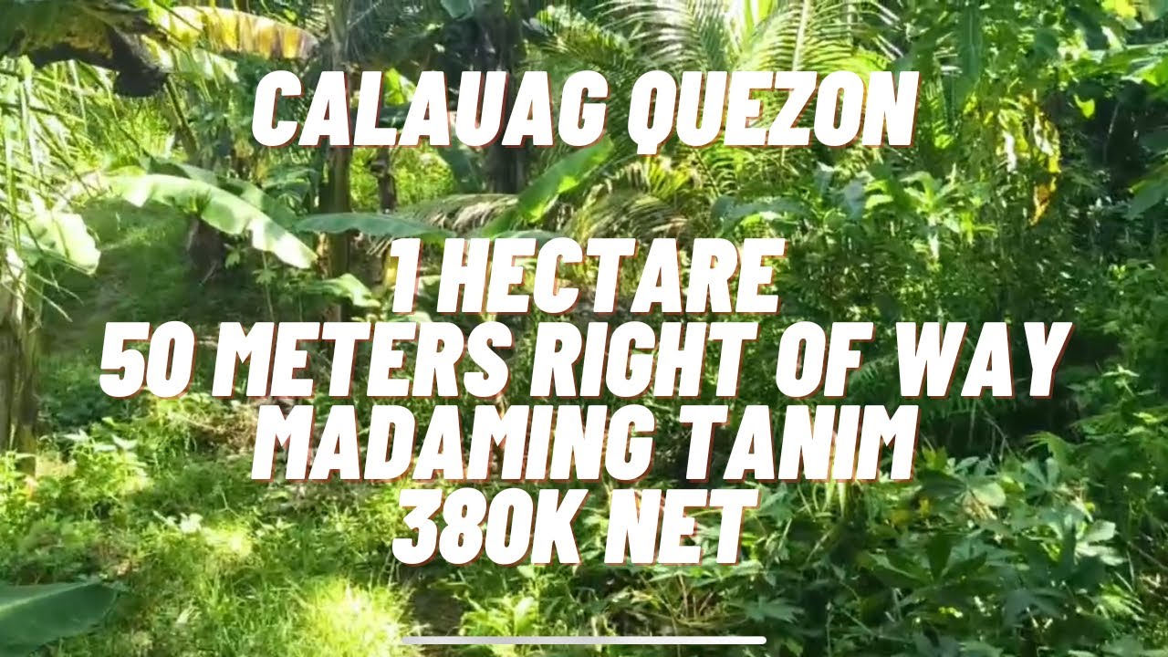 VLOG 104/ CALAUAG QUEZON/ 1 HECTARE NA PROPERTY MARAMING TANIM/ 50 METERS RIGHT OF WAY/ 380K NET