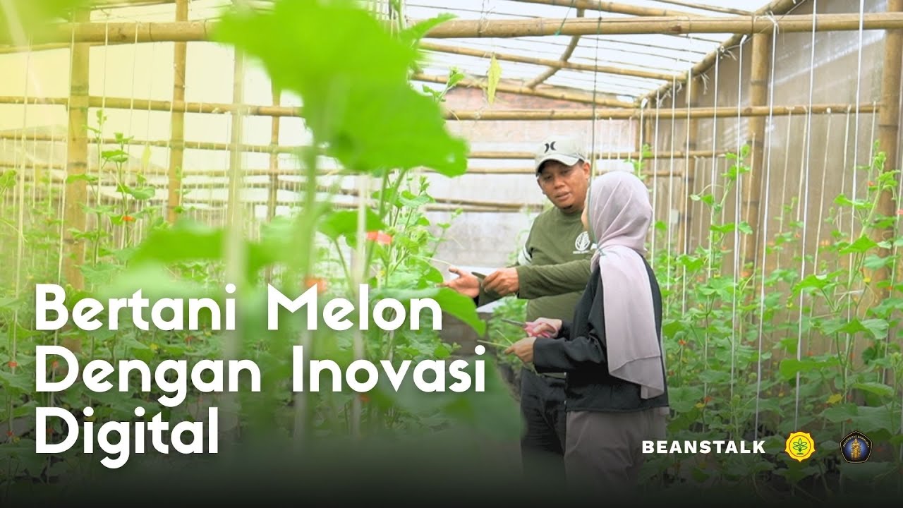 Bertani Menjadi Lebih Mudah Dengan Inovasi Digital Pertanian