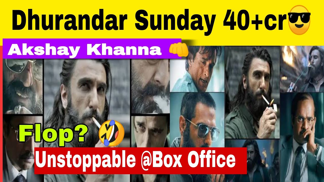 DHURANDHAR unstoppable at Box office Ranveer Singh Biggest collection 