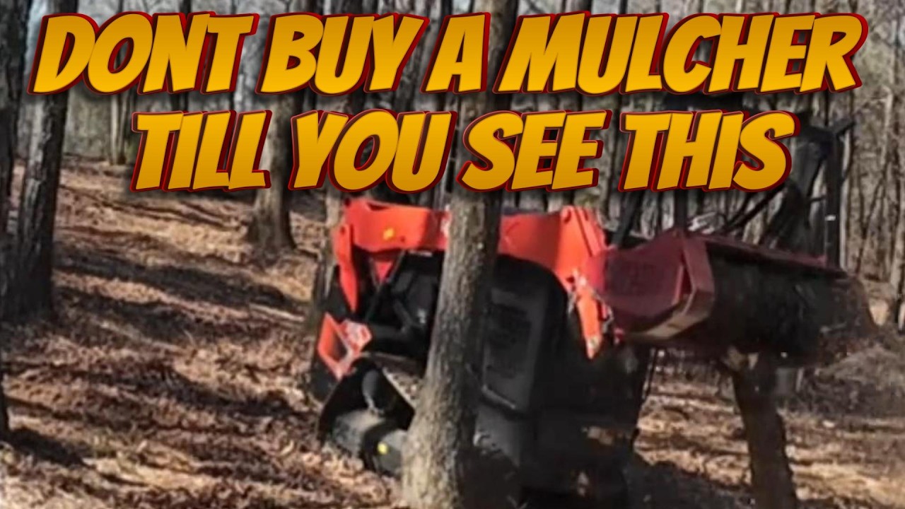 CHINESE MULCHER -MY 6 MONTH REVIEW