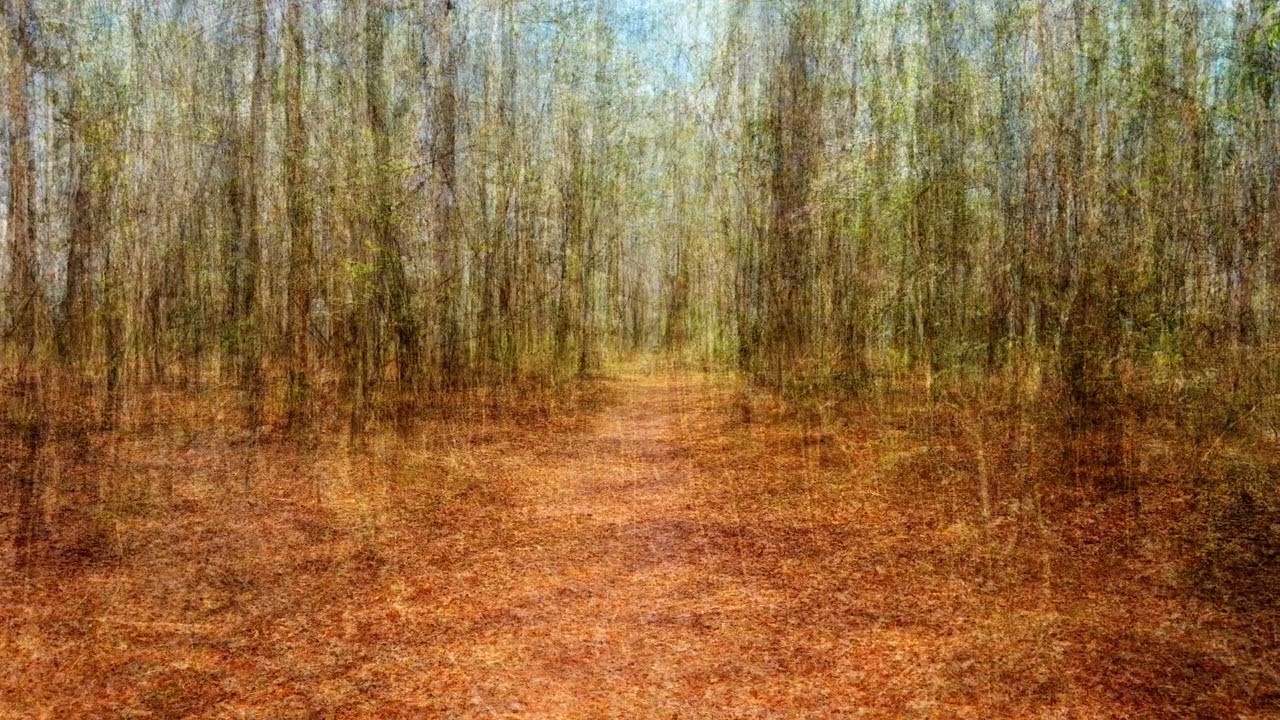 Santee State Park