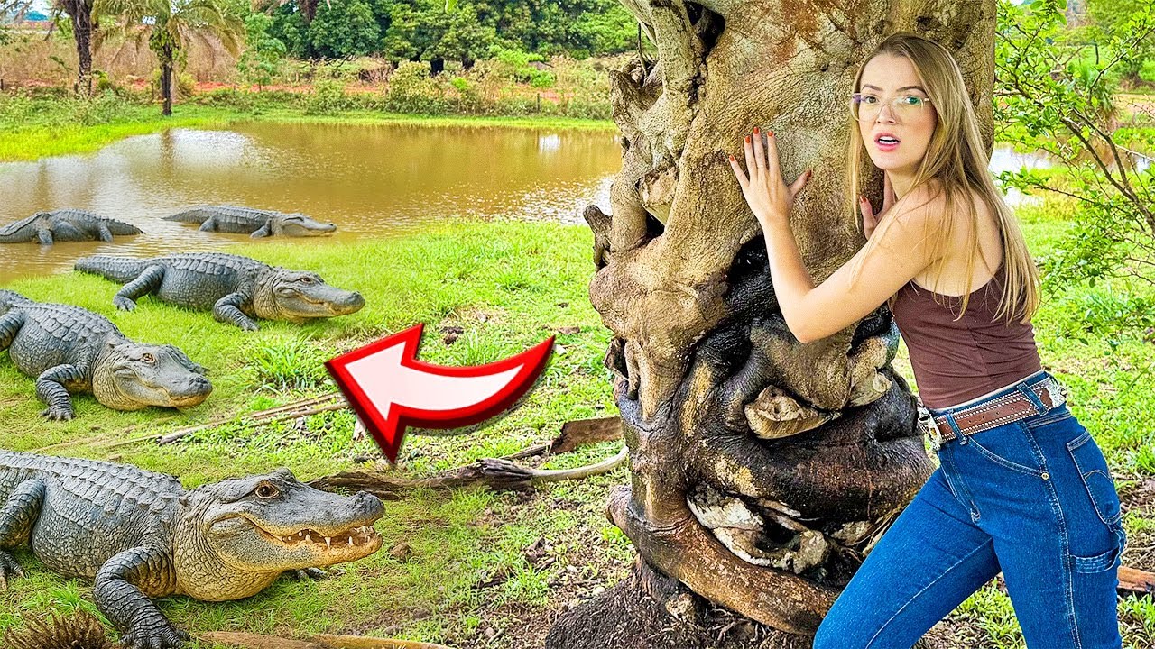 VOLTEI NO LAGO DOS JACARÉS DEPOIS DE MUITO TEMPO 