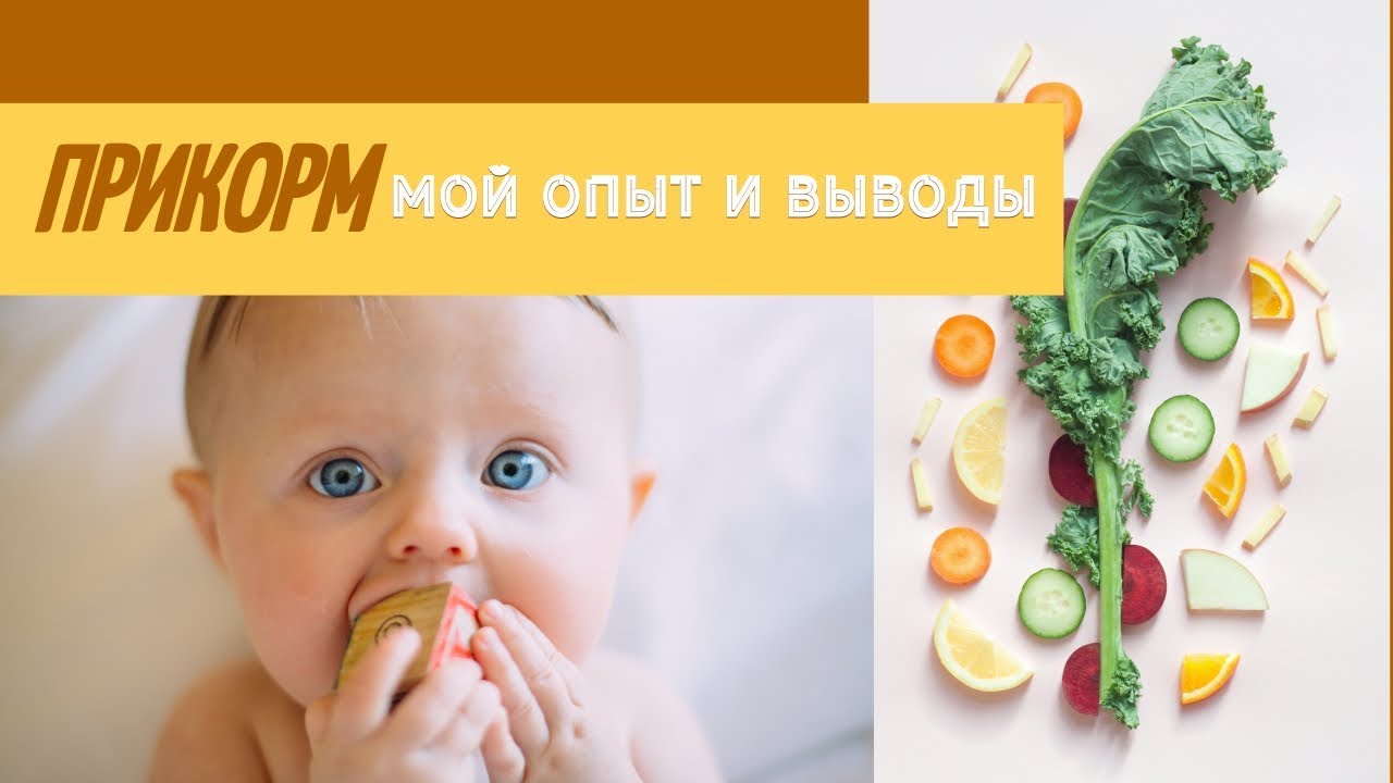 ПРИКОРМ: КАК И КОГДА ВВОДИТЬ, ЧЕМ КОРМИТЬ, BLW