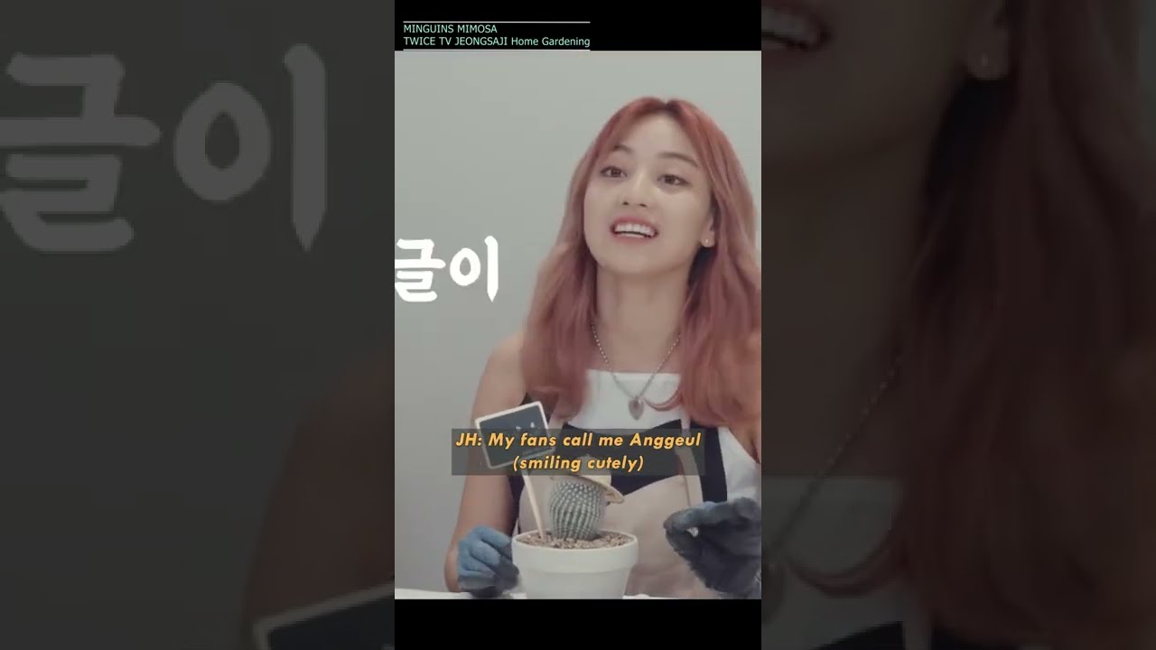 JIHYO's CACTUS Origins | It was once alive