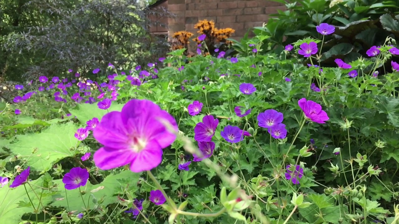 31 August 2018 Hinckley Reservation iPhone memory