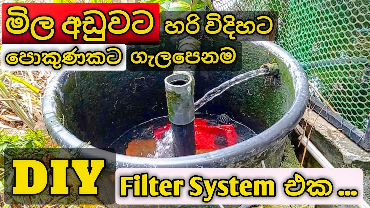 පොකුණකට ගැලපෙනම ෆිල්ටරේ ❤️ | DIY Pond Filter System ⚔️ 