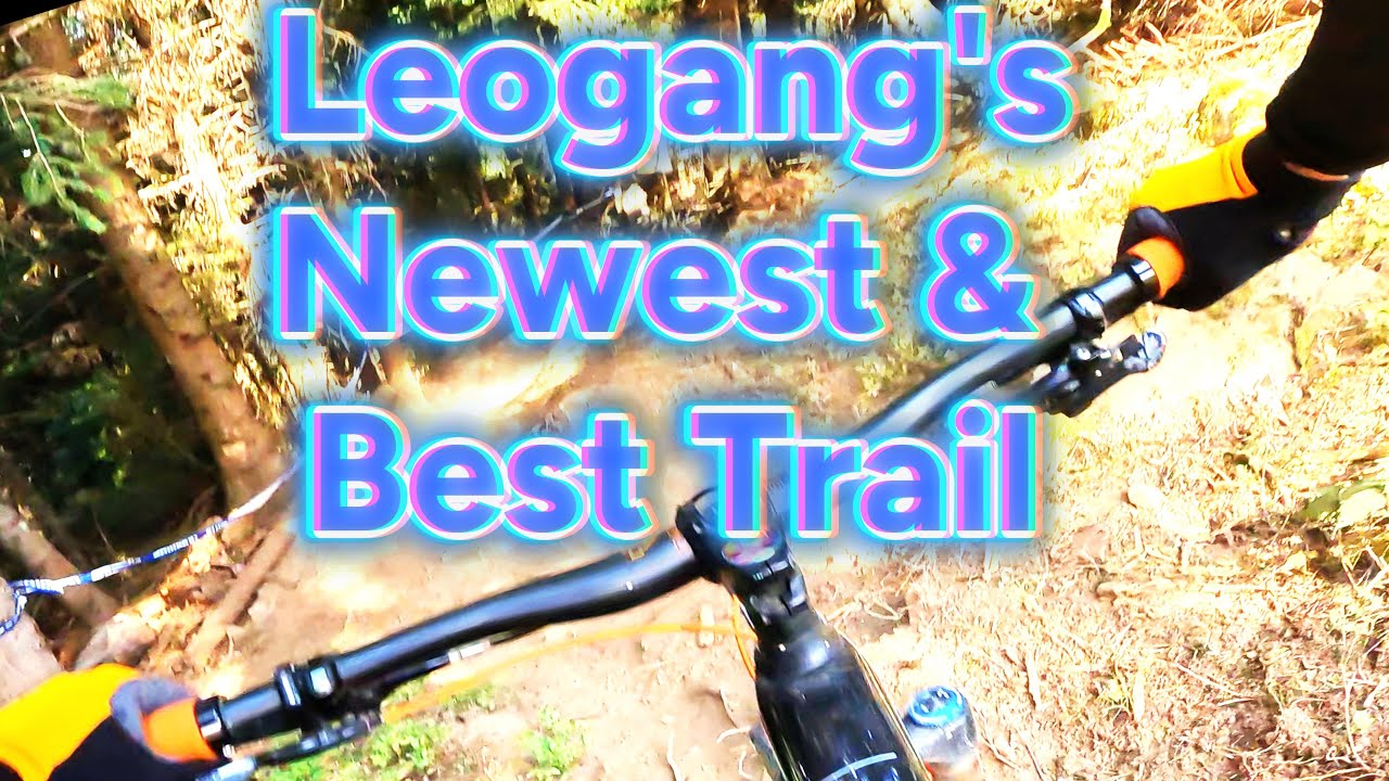 “Back to the Roots” – New  - Leogang’s Black Trail RAW & Rowdy - Best Trail in the Bike Park