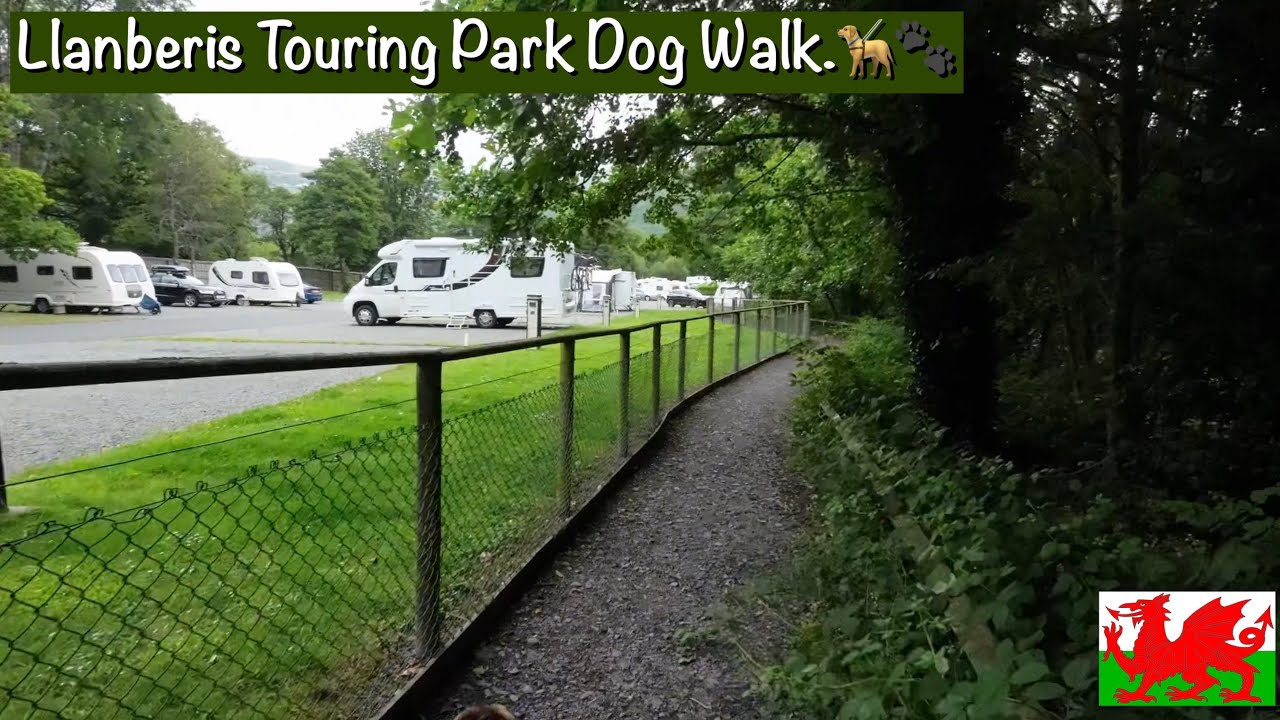 Llanberis Touring Park | Exploring The Onsite Dog Walk 🐾 | Travel Vlog 4K
