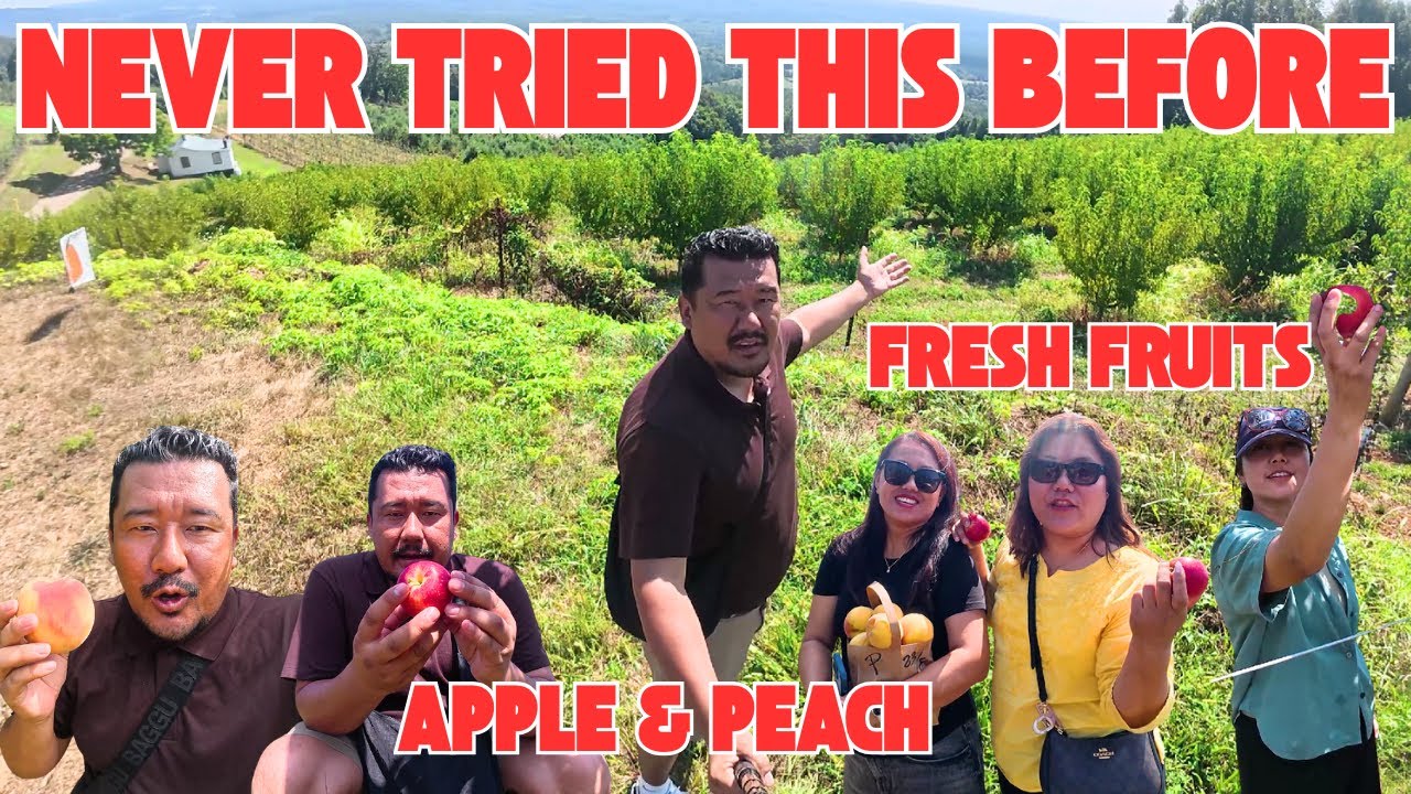 FRESH FRUITS & FUN😀😀  || APPLE AND PEACH PICKING IN USA || TIBETAN VLOGGER 2025