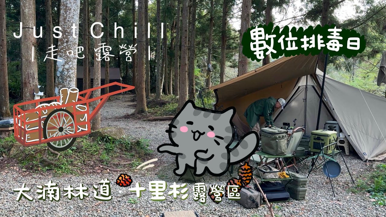 Just Chill走吧露營｜苗栗大湳林道｜十里杉露營區｜Jimny｜ジムニー｜數位排毒日