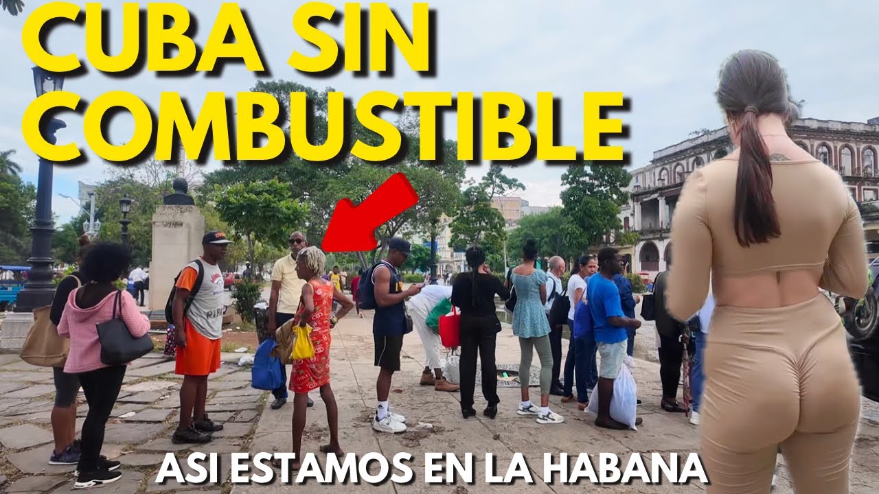 CUBA SIN COMBUSTIBLE 2026🚍¿Cómo está realmente el TRANSPORTE PÚBLICO en CUBA?🇨🇺LA HABANA HOY