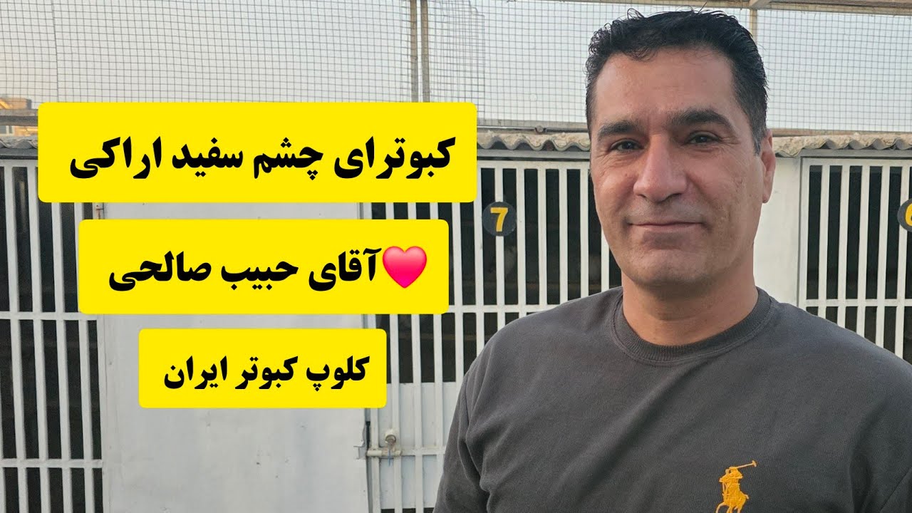 ❤️27 بهمن 1403 کبوترای چشم نوک سفید اراکی آقای حبیب صالحی iranian high flyers pigeon
