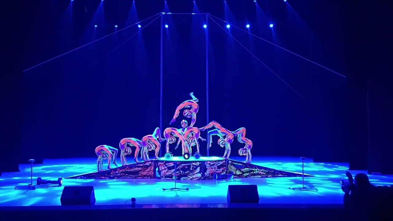 X Roses Contortion Centre 2023 X Spiders 2