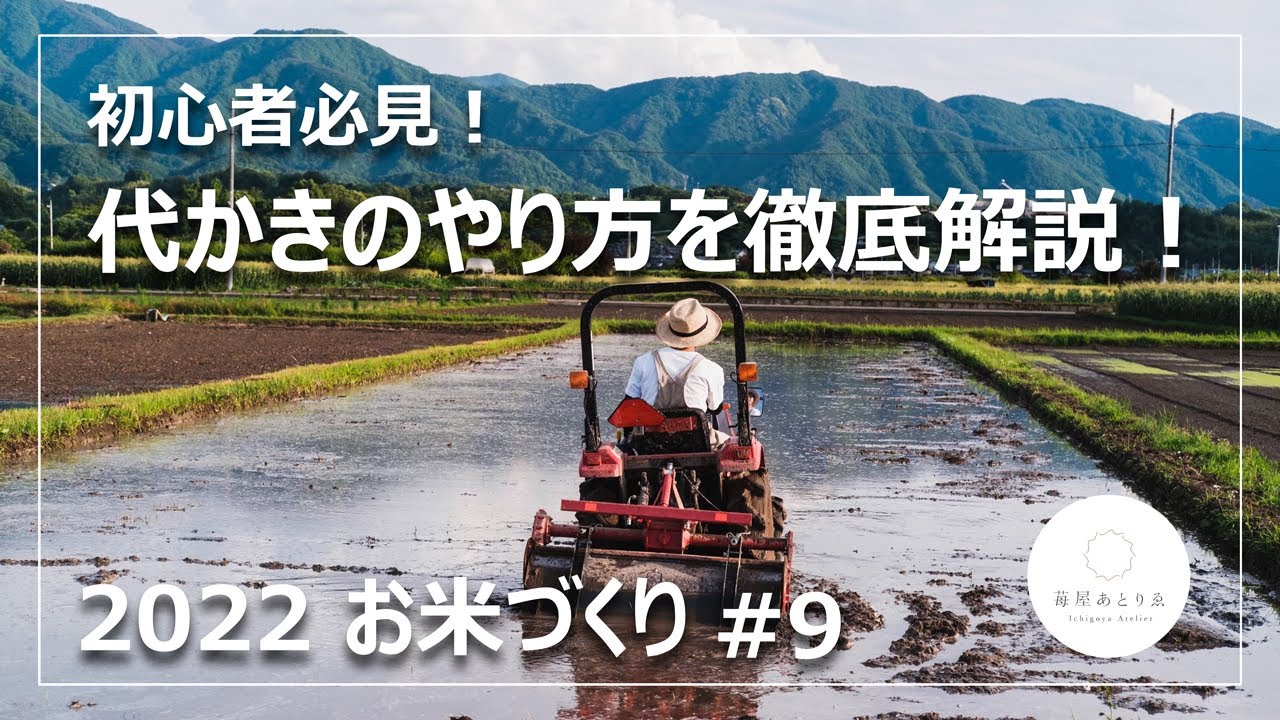 【お米づくり】#9 ３年目の代かき！初心者に向けてやり方を教えます！