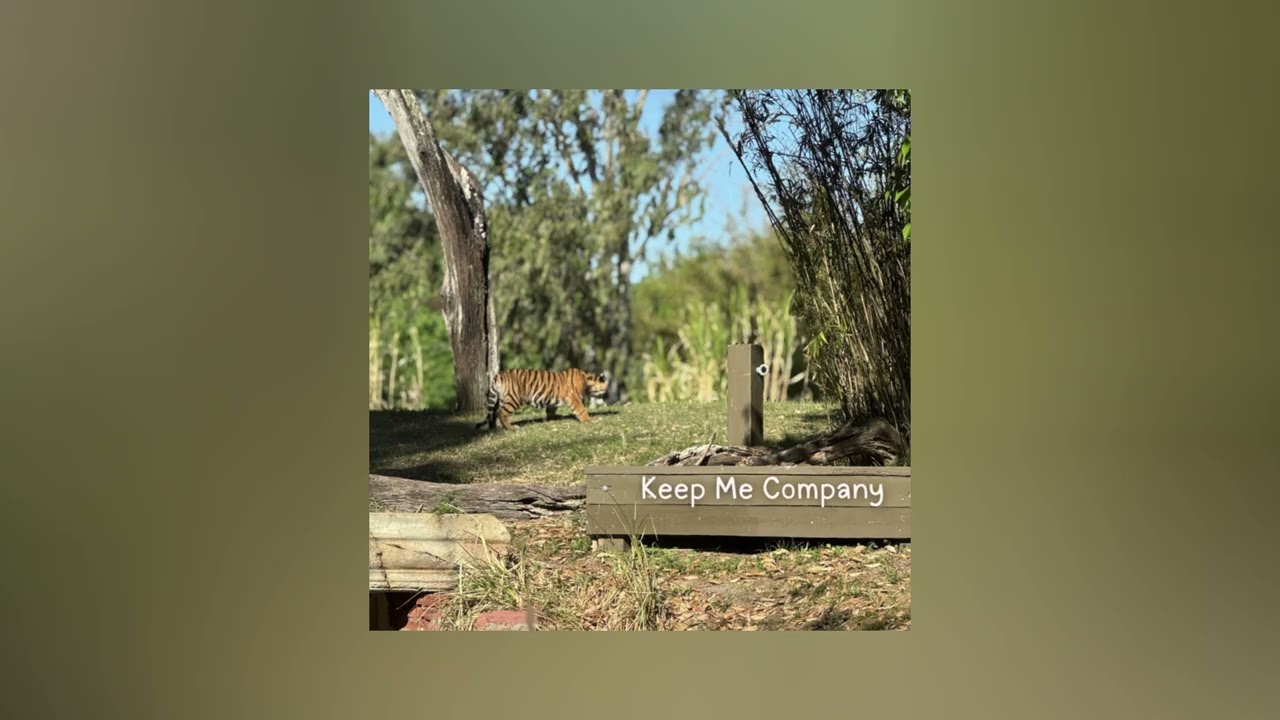 Keep Me Company - Bradley Maxwell (Prod. dennydarko__ )