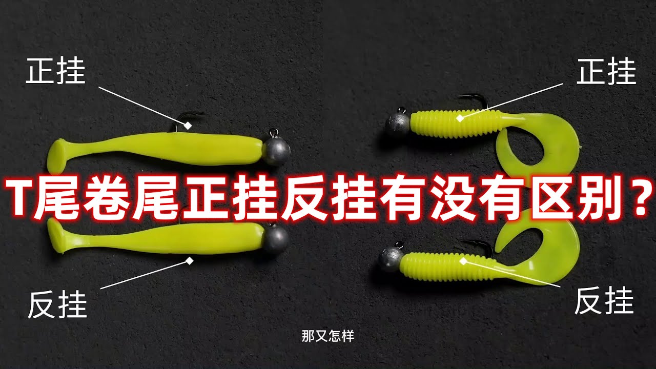 第7集：【新手入门】T尾卷尾正挂反挂有没有区别？如果有人说你挂反了，可以拿本视频怼回去了！ #路亚饵 #路亚教学 #铅头钩 #路亚T尾 #路亚卷尾