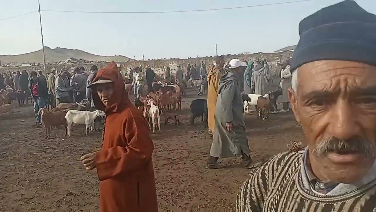 الاثمنة سوق مريرت الشحمة غالية خيرات بلادنا الحمد للله.