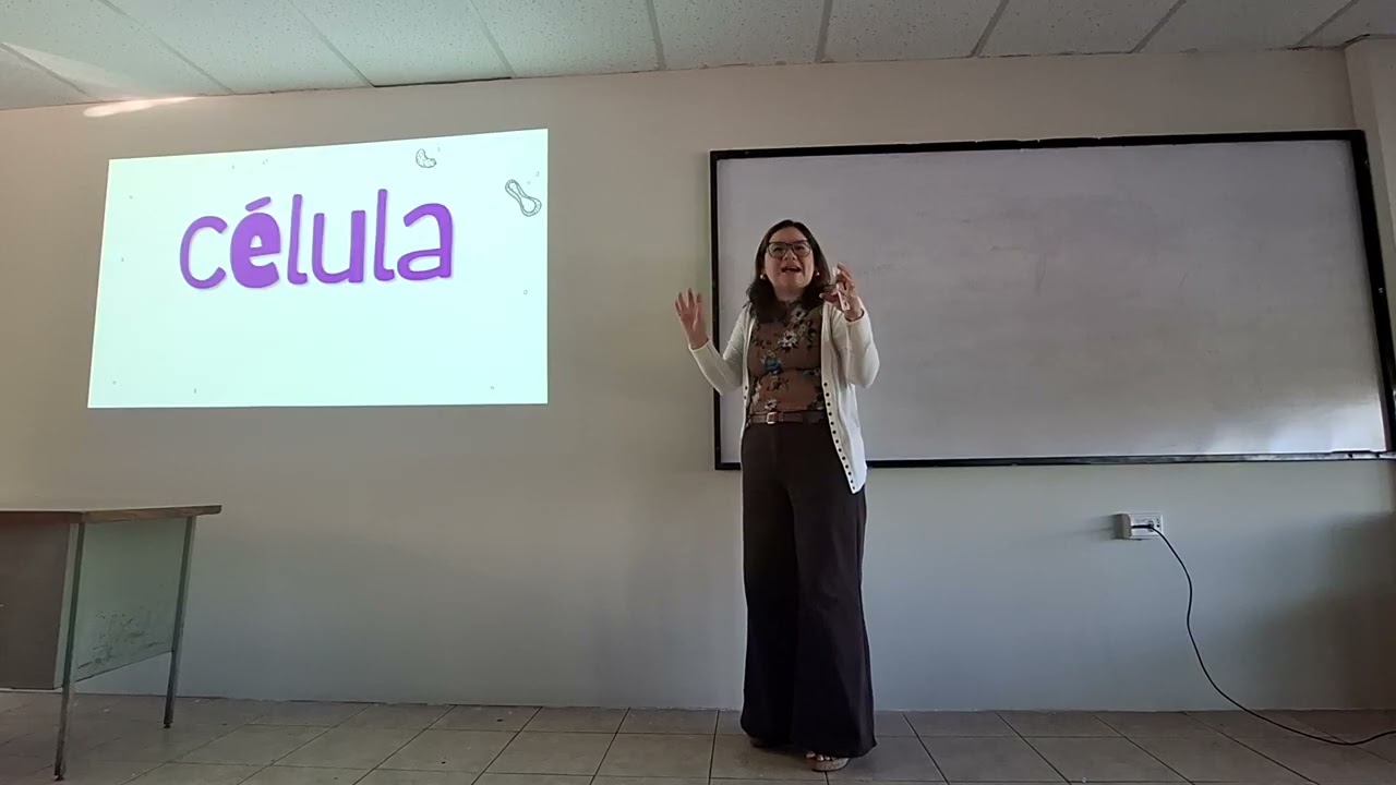 Generalidades